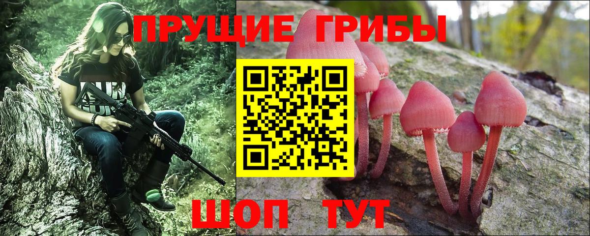 Галлюциногенные грибы ЛСД Озёры