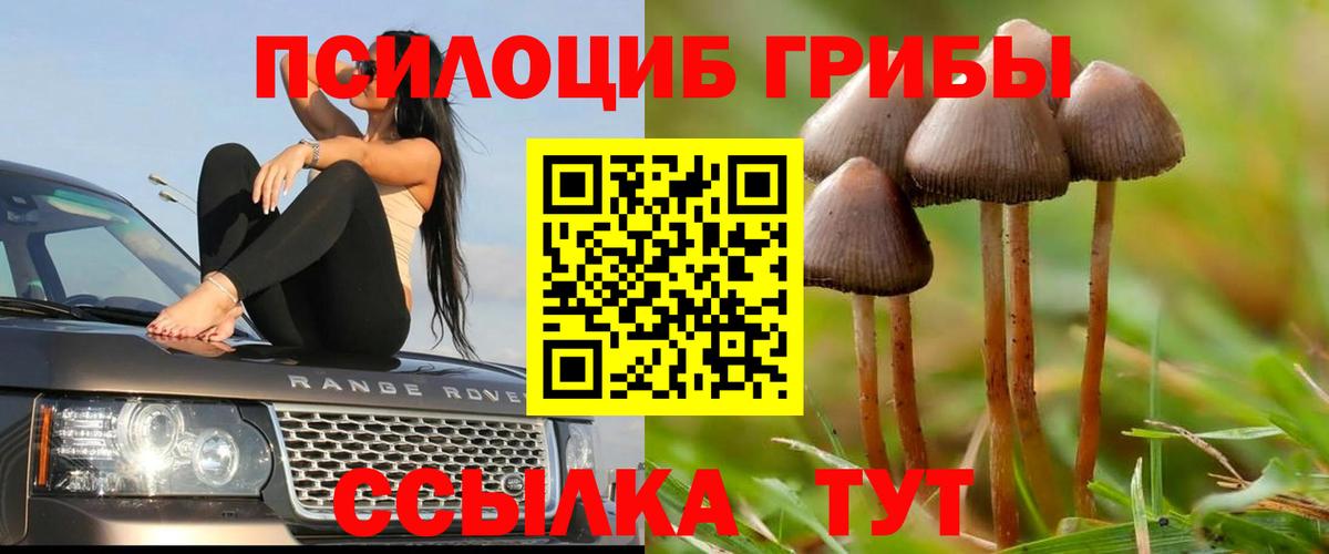 Галлюциногенные грибы Cubensis  Псилоцибиновые грибы Cubensis  Озёры  Вход с VPN 